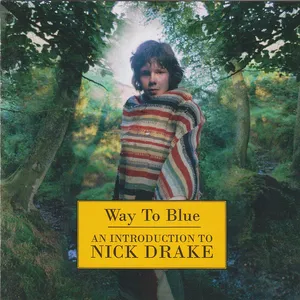 Way to blue : an introduction to Nick Drake